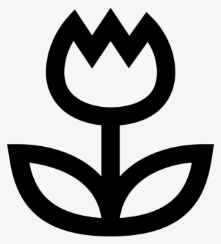 Modalità Primo Piano Icon #6666495