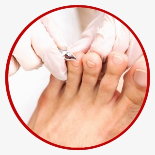 Trimming Nails #6672155