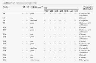 Identification Of Candida Spp #6673054