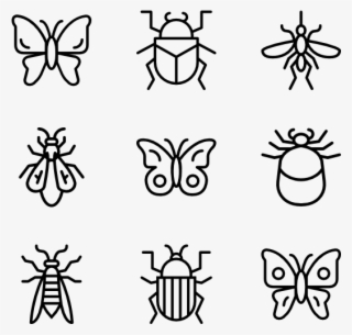 Bugs & Insects #6673294