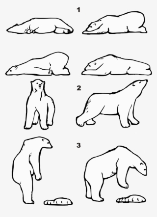 Habitat Drawing Polar Bear #6676156