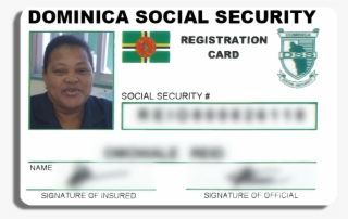 Social Security Card #6676455