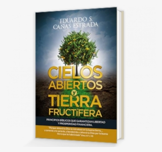 Cielos Abiertos Y Tierra Fructífera #6677652