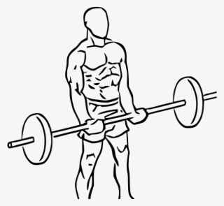 Close Grip Standing Bicep Curls With Barbell #6677845