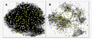 Enduring Banker Relations Better Reveal Social Clusters #6678831