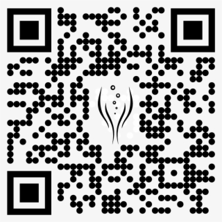 Qr Codes #6680969