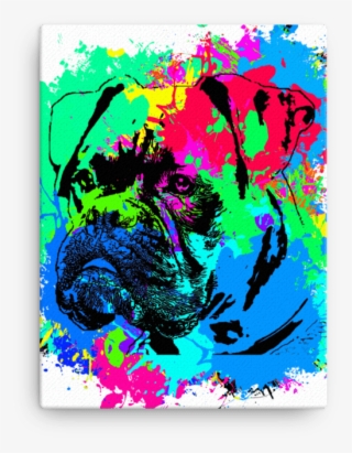 Boxer Colorful Splash Paint Canvas #6681952