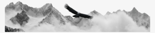 Condor Wealth Solution #6682342