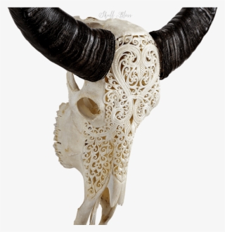 Carved Buffalo Skull #6682685