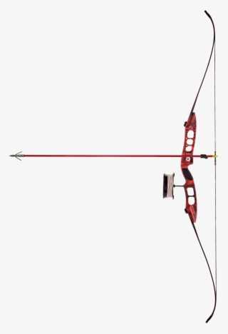 Cajun Fish Stick Take-down Bowfishing Bow Set Includes #6683516