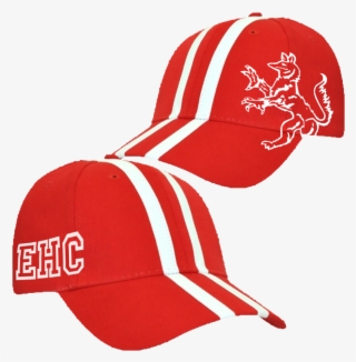 Racing Stripe Cap #6685142