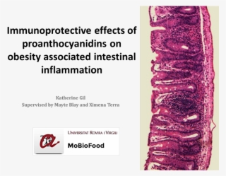Immunoprotective Effects Of Proanthocyanidins On Obesity #6685797