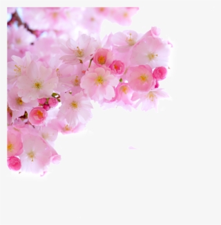 Hand Painted Pink Flower Elements #6686956