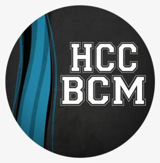 Bcmflpoly #6688394