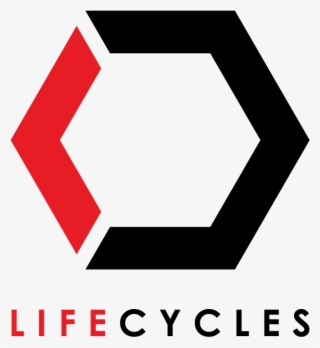 Lifecycles #6688542