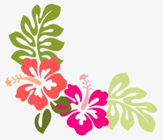 Vector Hibiscus #6688921