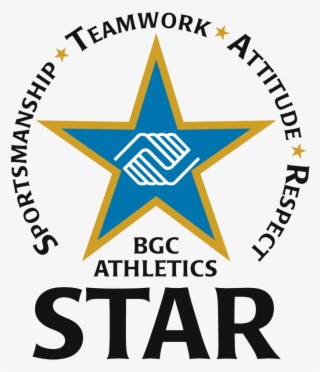 Team Sponsorship Form #6689128