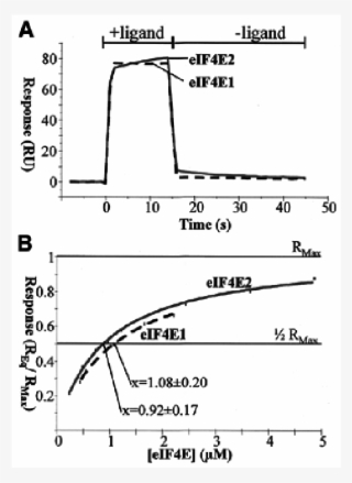 Interaction Between S #6689874