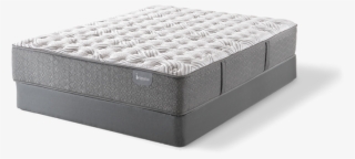 Buy A Serta Majestic Sleep Westmark Firm From Local #6689979