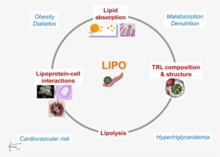 Fig Equipe 4 Ang #6690373