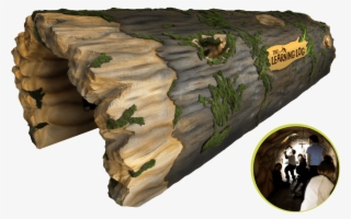 Imagine A Giant Fallen Tree, Hollowed Out And #6690422