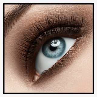 Makeup Clipart Png #6693039