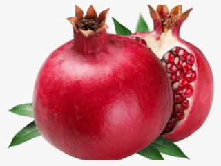 Wreath Clipart Pomegranate #6693290