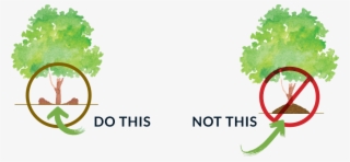 How To Mulch A Tree #6693886