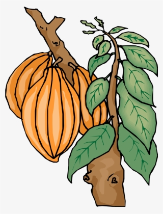 Cocoa #6694456