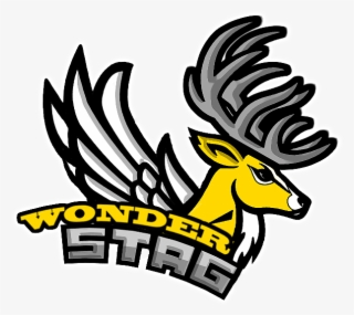Wse Logo For White Background #6696373