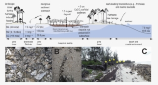 A Conceptual Model Of The Landscape Surrounding Blackwood #6698381