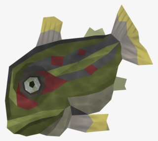 Raw Red-eye Detail #6698800