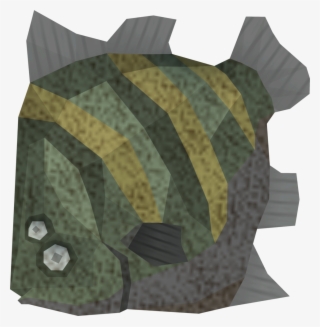 Raw Giant Flatfish Detail #6699432