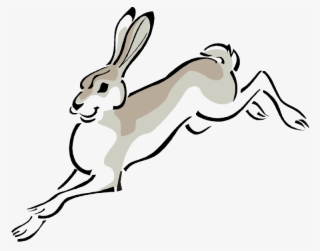 Jack Rabbit Clip Art Free #6699598