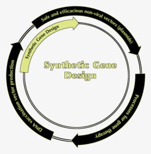 Non-viral Vectors And Services For Gene Therapy And - Non Viral Plasmid Vect #670331
