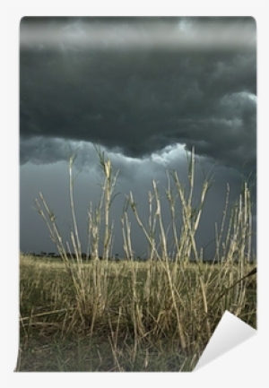 Africa Landscape, Dark Cloud, Serengeti National Park, - Diana L. Eck #670969