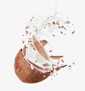 Coconut And Chocolate Splash #671907