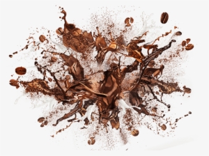 Natural Coffee Flavors - Nocco Protein Coffee #671943