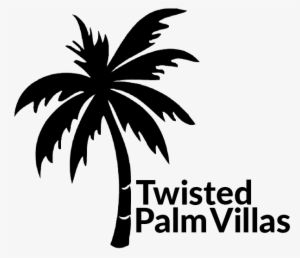 We Buy Sea Side And Start Drawing Twisted Palm Villas - Palm Trees #672233