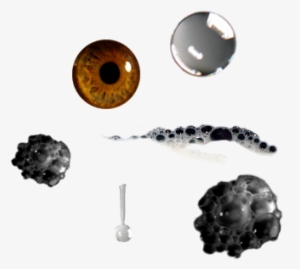 Open Milk - Earrings #672370