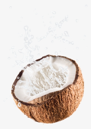 Jax Coco Is 100% Pure Coconut Water, With Absolutely - Cut Coconut Png #672677