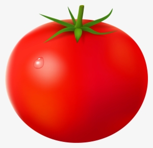 Tomato - Tomato Clipart Png #673529