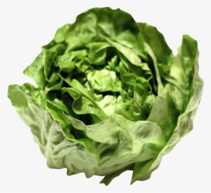 Free Png Lettuce Png Images Transparent - Lettuce Png #673608