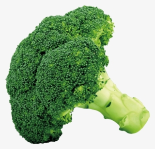 Png Picture Z Lds G Gy M - Green Fruits And Vegetables Clipart #673742