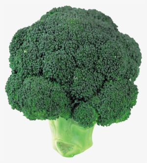 Transparent Broccoli #674107