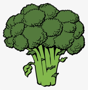 Png Free Stock Vegetable Free Broccoli Clip Art Vector - Clipart Broccoli #674286