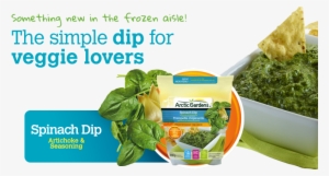 Arctic Gardens - Frozen Vegetables #674309