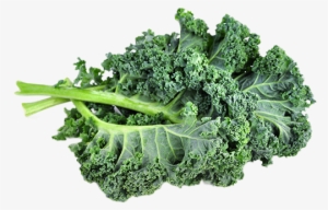 Kale-fieldpack #674334
