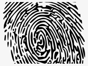 Fingerprint Clipart Transparent - Forensics Clip Art #674499