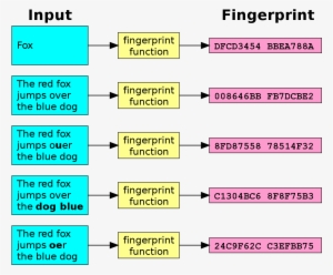 Does Checksum Work #674902